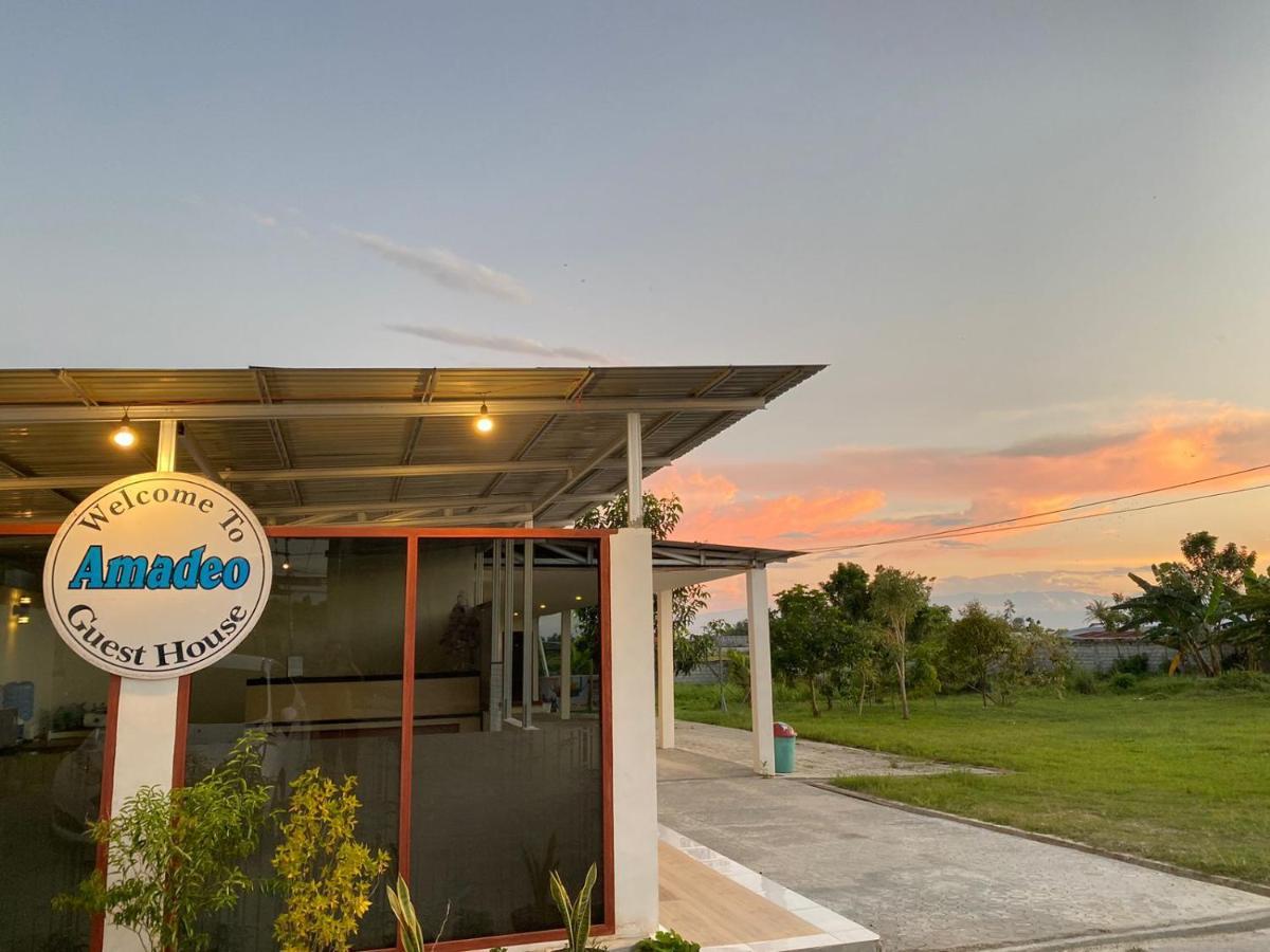 Amadeo Guest House Ratodena エクステリア 写真